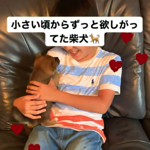 息子と柴犬