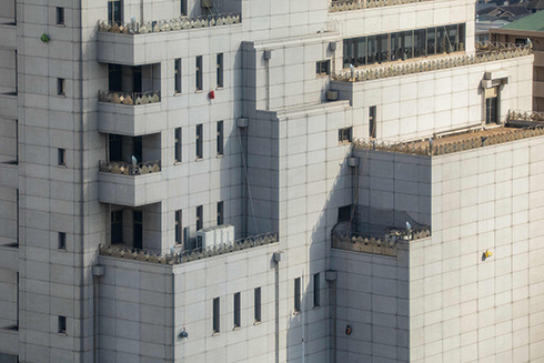 木々のすき間から顔を出す巨大ピンク猫　彫刻の森美術館がデカくてかわいいインスタレーションを展示開始