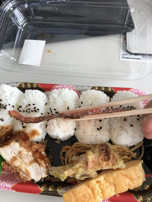 薄すぎる鮭弁当