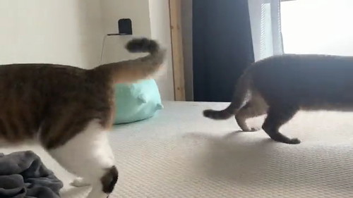 ポジションチェンジ