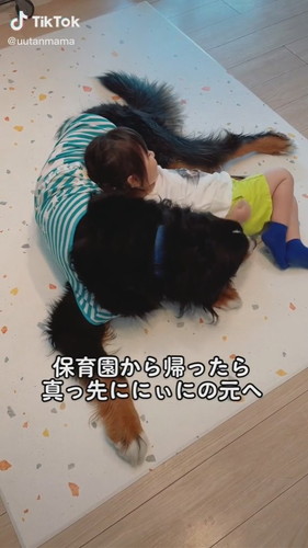 保育園から帰ったら真っ先ににぃにの元へ