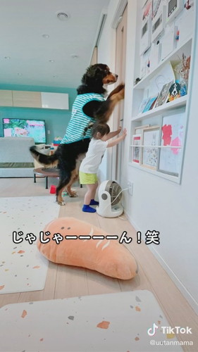 保育園から帰ったら真っ先ににぃにの元へ