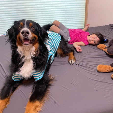 ダンロくんとうーたんちゃん