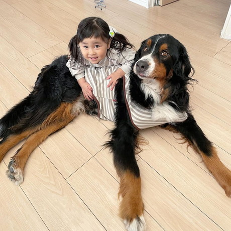 ダンロくんとうーたんちゃん