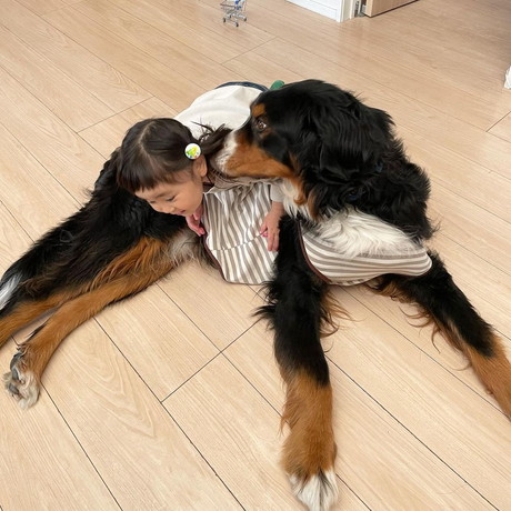 ダンロくんとうーたんちゃん