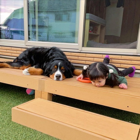 ダンロくんとうーたんちゃん