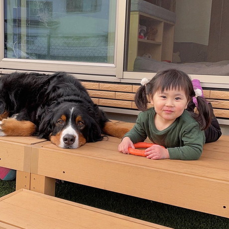 ダンロくんとうーたんちゃん