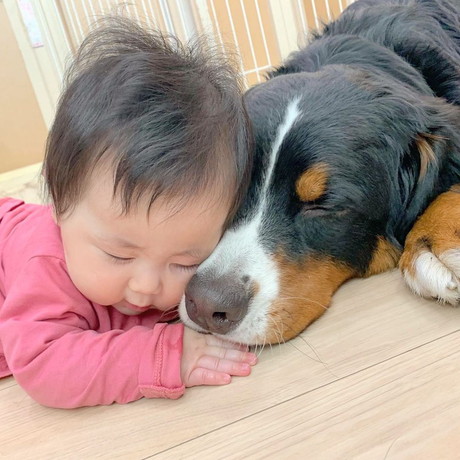 ダンロくんとうーたんちゃん