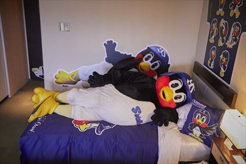 つば九郎ルーム