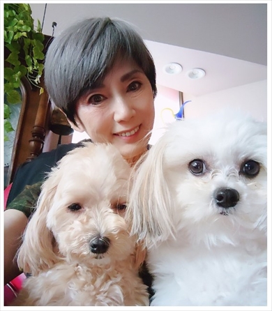 秋野暢子と愛犬たち