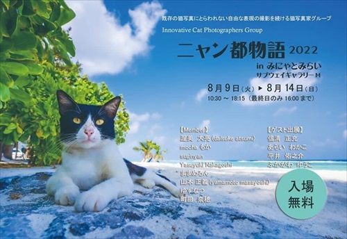 立ち猫グループ展
