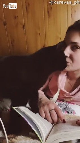 「My Affectionate and Gentle Beast || ViralHog」