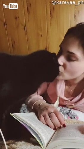 「My Affectionate and Gentle Beast || ViralHog」