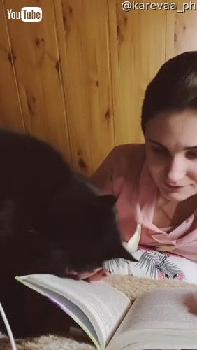 「My Affectionate and Gentle Beast || ViralHog」