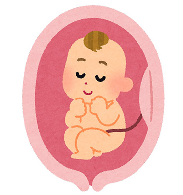 逆子の説明をする妻「頭と足が逆なのよ」→夫「頭と足が逆についてるの？」　盛大な誤解にほっこり