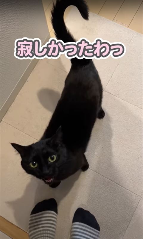 寂しかったわのテロップ