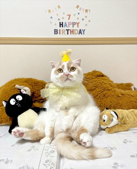 誕生日のお祝いでお座りしてる