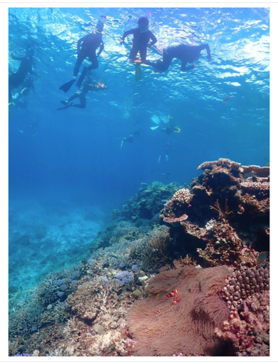 辻希美と杉浦太陽が沖縄県宮古島へ家族旅行でシュノーケリング