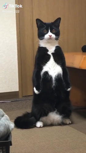 立っている凜くん