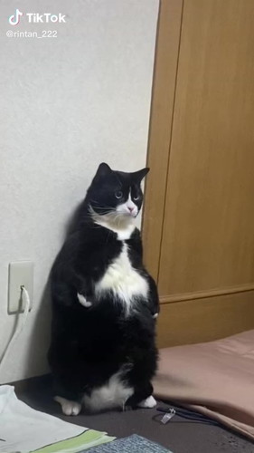 立っている凜くん