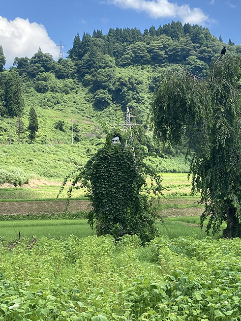 カルト映画「ミッドサマー」みたいだ……大地の芸術祭に展示されたアート作品が話題に　「これは泣く」「ミッドサマーより怖い」