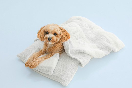 ジェラートピケ「べビモコおふとんセット」