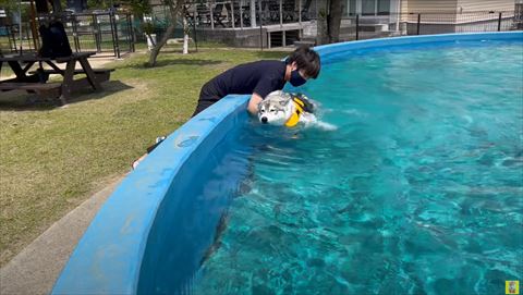 ワンコを支える飼い主さん