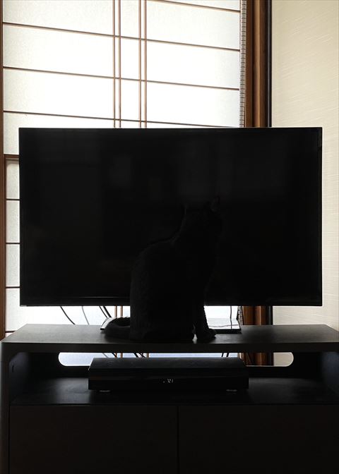 テレビ近く