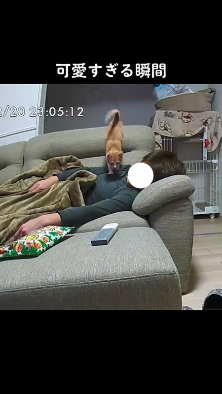 パパの上に乗る