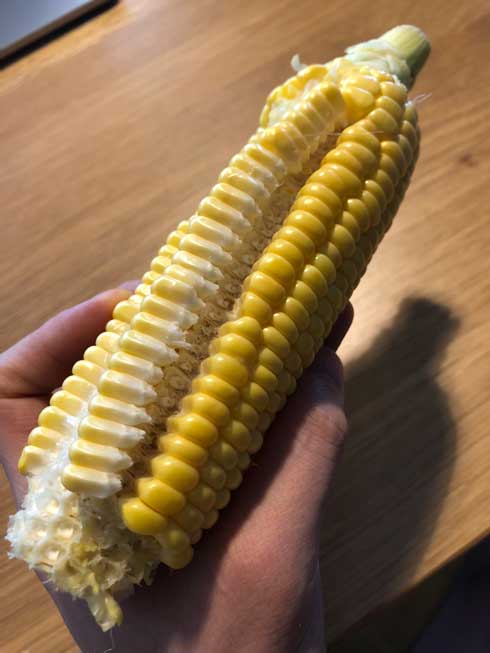 彫刻家 割り箸 自作 とうもろこし 1列だけ もぎとる 道具