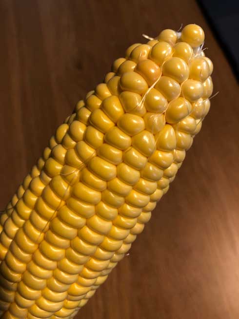 彫刻家 割り箸 自作 とうもろこし 1列だけ もぎとる 道具