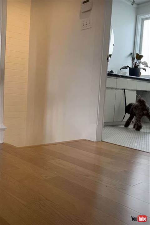 棚をあけようとする