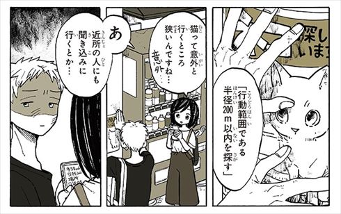 特別じゃない日 猫とご近所さん