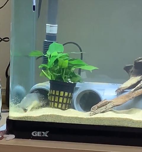 下を向いてくしゃみ