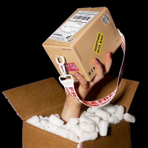 SHIPPING BOX BAG