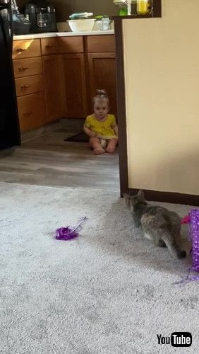 「Kid and Cat Get Startling Introduction || ViralHog」