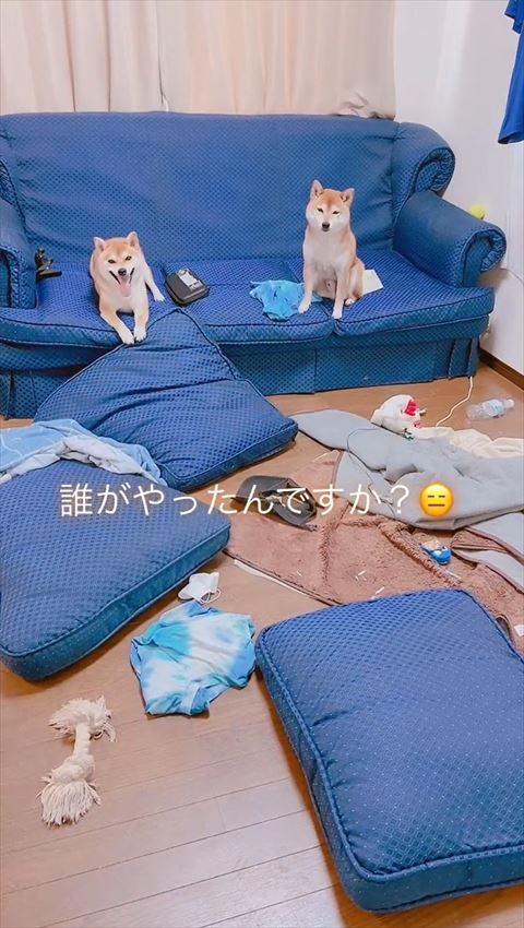 オススメ