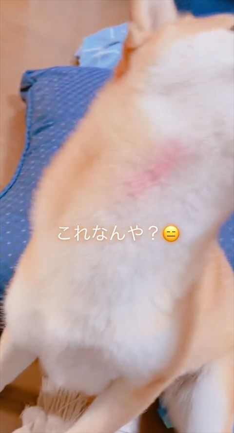 首元についた色ペン