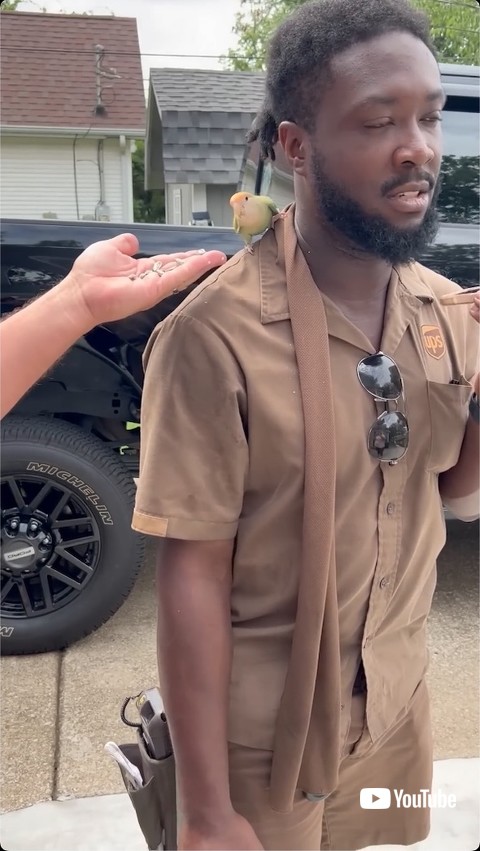 鳥に餌を上げる人