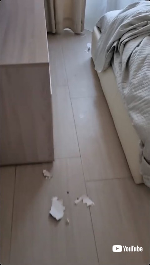 ベッド付近の散らかった床