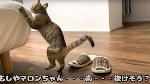 ベッドにつかまり立ちする