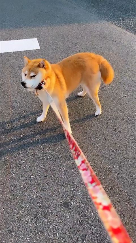 オススメ