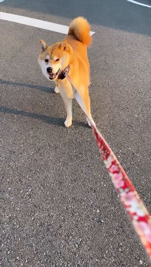 体が斜めになってる