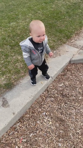 「Toddle Trips While Attempting To Walk Ahead - 1326946」