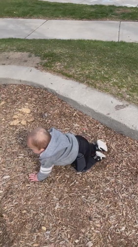 「Toddle Trips While Attempting To Walk Ahead - 1326946」