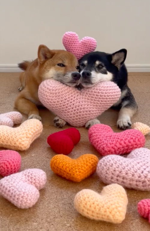 その他のあご乗せ