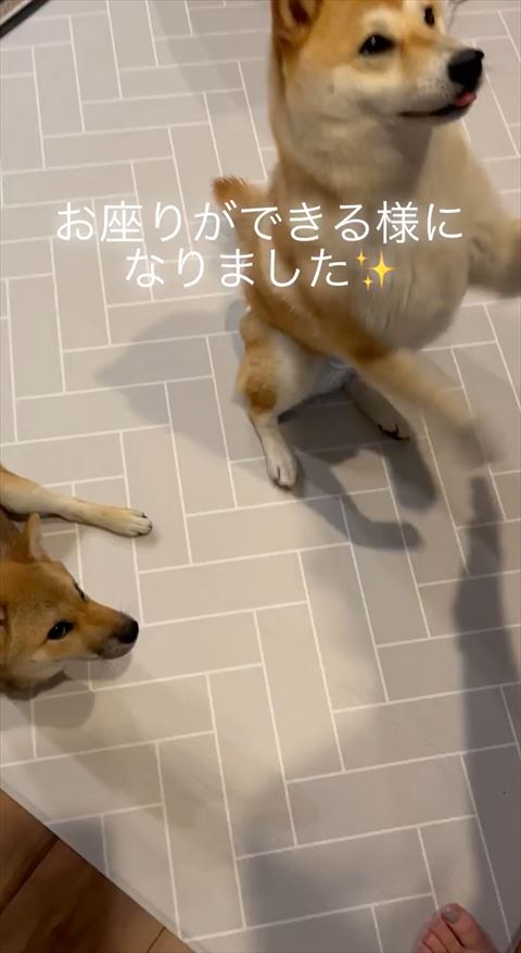 福ちゃん立ってる