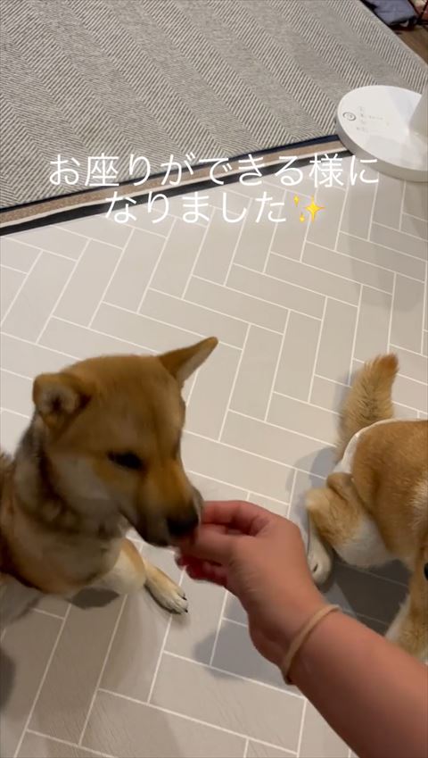 おやつ食べてる春ちゃん