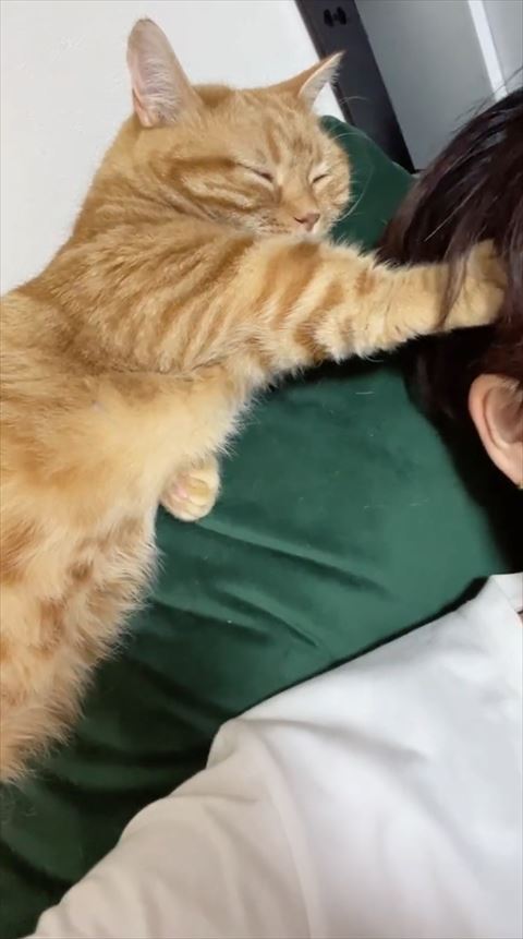 手で頭をおしつける