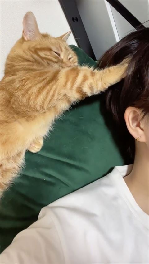 頭を離す飼い主さん